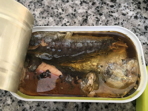 sardine-pasta2