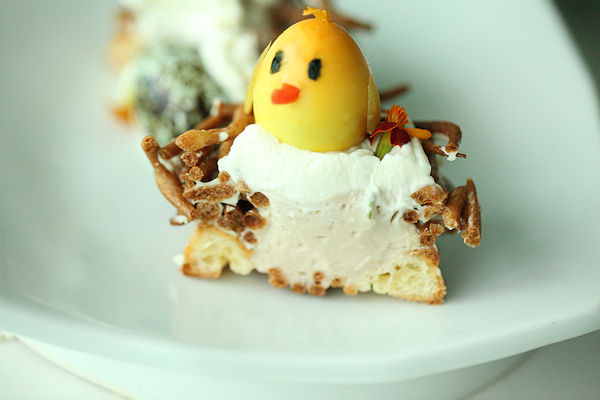bird-nest3
