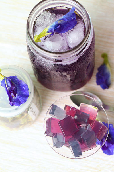 butterfly pea5