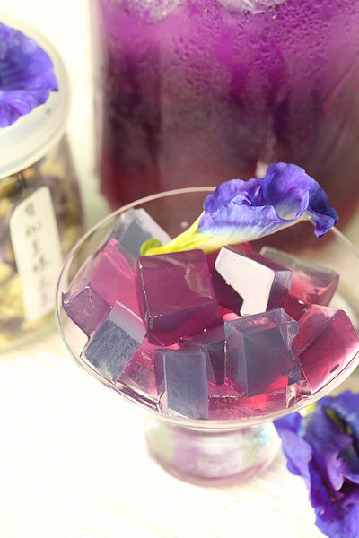 butterfly pea