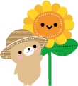 kuma-summer
