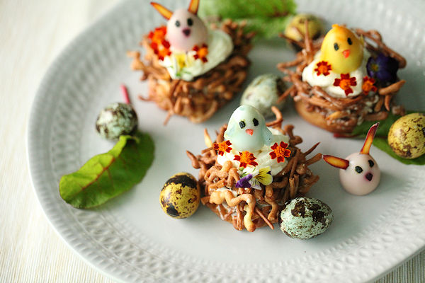 bird-nest2