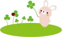 bunny-clover