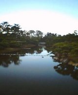 20050118_1111_000.jpg