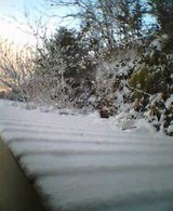20050201_0722_000.jpg