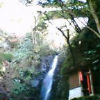 20041230_1015_000.jpg