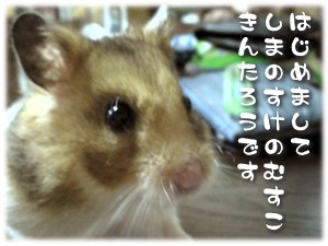 はじめまして！