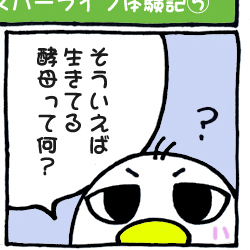 スパーライフ体験記（５）