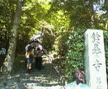 50a8a388.jpg
