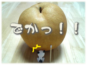 でっけー梨
