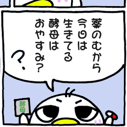 スパーライフ体験記（１０）