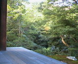 7f16b07e.jpg
