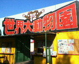 937c867a.jpg