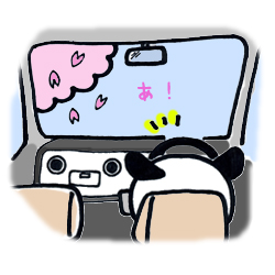 桜の季節