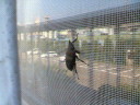 200509011403000.jpg