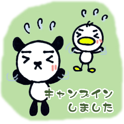キャンプインしました