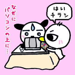ナゼゆえそこなのか