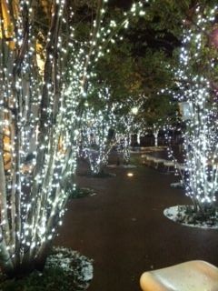 写真 3