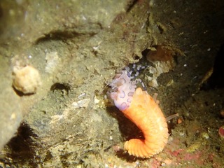 PB041014