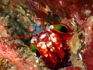 PB040960
