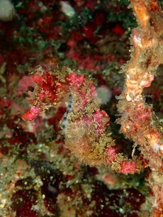 PB040981 (1)