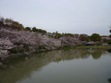 P1020058
