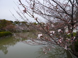 P1020053