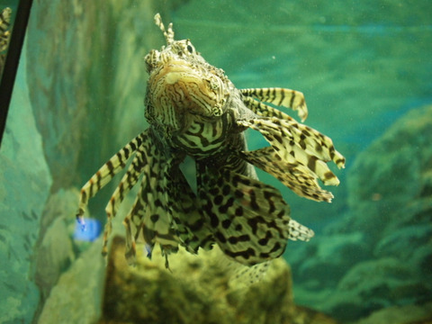 P3291439x