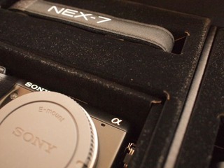 P1293687x
