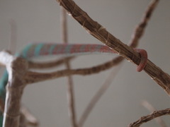 P3216934