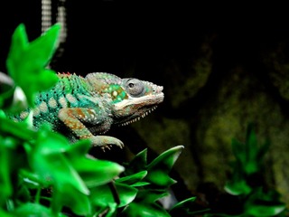 DSC_1105x