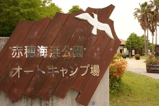 DSC02404x