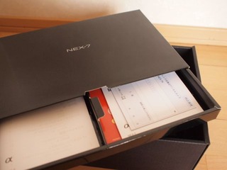 P1293685x