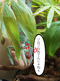 BlogPaint