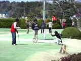 tani-golfenjoy.jpg