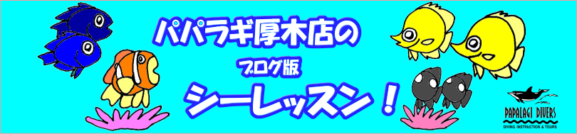 �褦�����ѥѥ饮����Ź�ء���