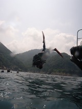 DIVE!