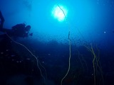 s-P2150192