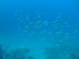 s-DSCF3850