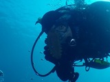 s-P2150163