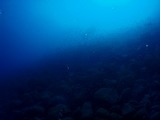 s-P2150191
