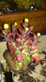33b029b1.jpg