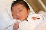 ayana20080313-1