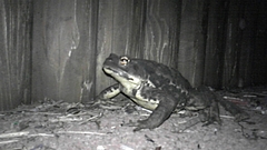 DVC00040