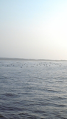DVC00036