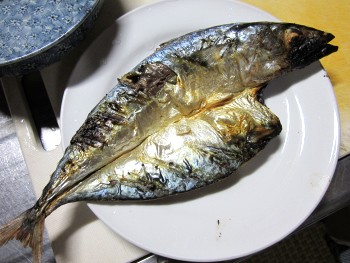 トビウオの干物