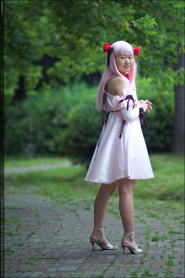 2ch サーバーダウン（鯖落ち）情報　part251->画像>76枚 