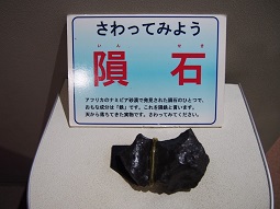 PA174857.jpg