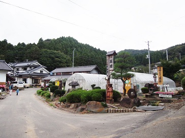 PA064195.jpg