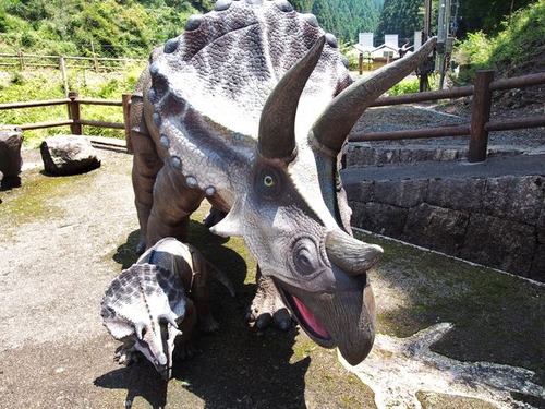 6669941_2029428016_192large